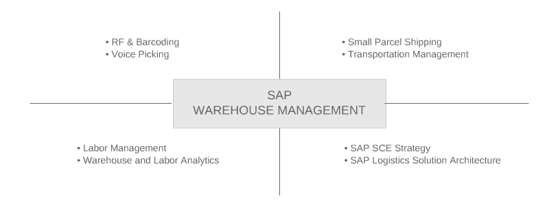mscg_sce_1 | My Supply Chain Group
